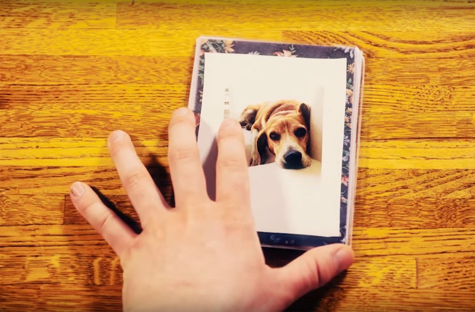 VIDEO: Bagel the Beagle Documentary Chronicles Richmond’s Most Famous Lost Dog