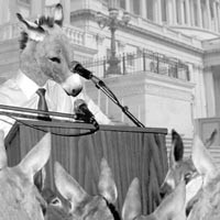 2006: Year of the Donkey?