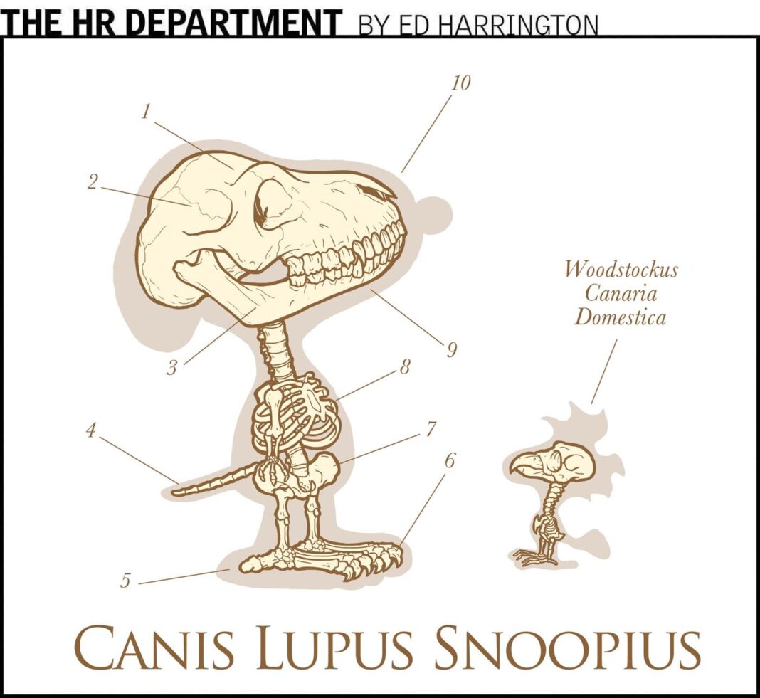 The HR Department