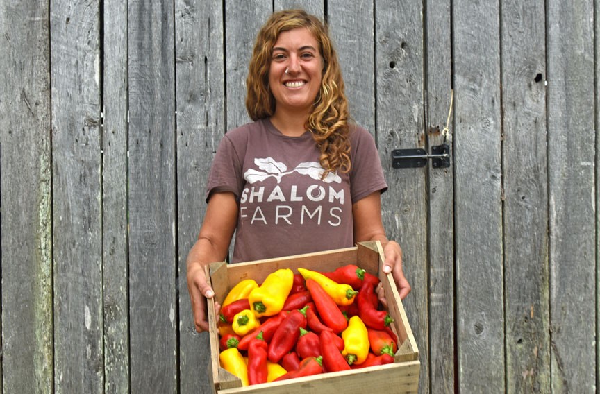 At Shalom Farms, Local Volunteers Harvest the Produce That Helps Feed Richmond’s Poorest Communities