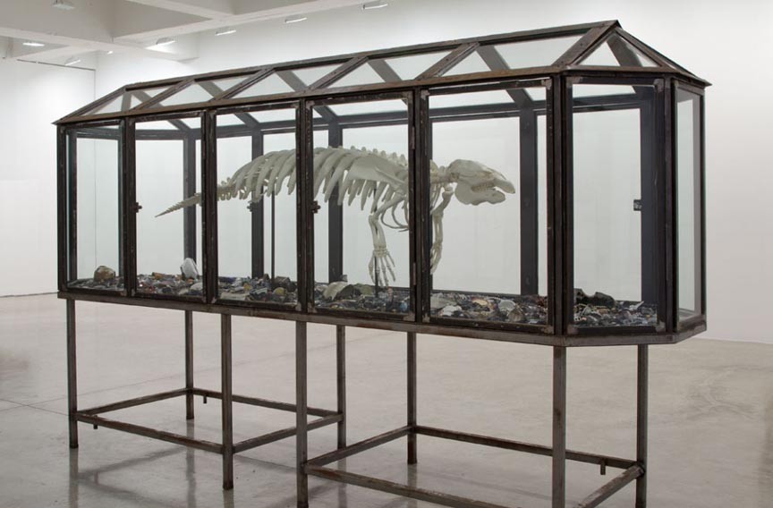 The Roads We Traveled