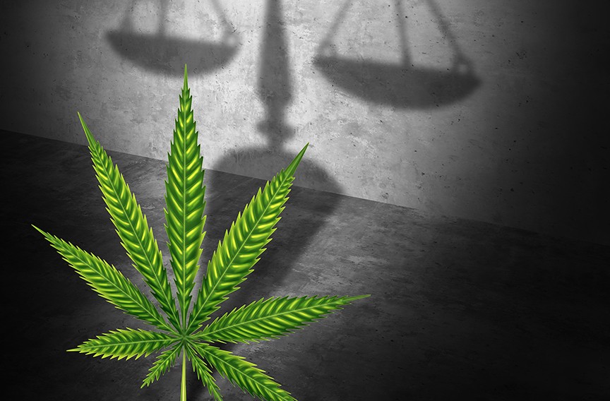 The Case for Cannabis