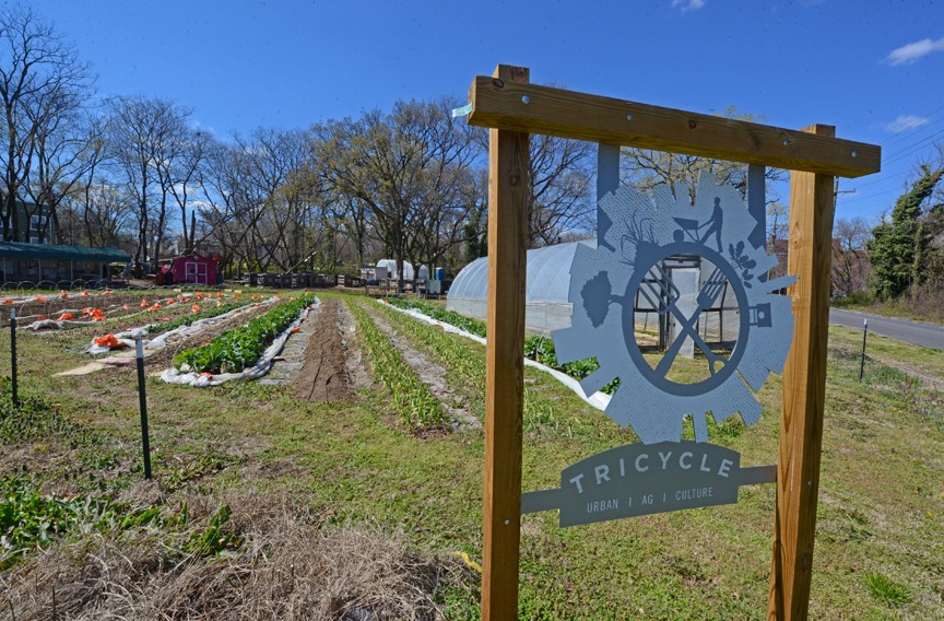 Tricycle Urban Agriculture Brings Fresh Produce to Richmond