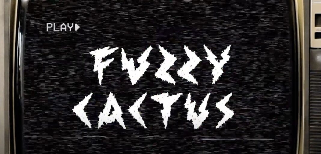 PICK: The Fuzzy Cactus Anniversary Special, Saturday, Dec. 5