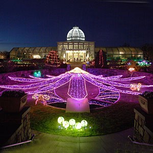 GardenFest of Lights at Lewis Ginter
