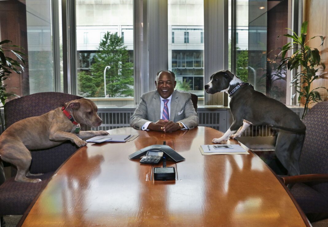 Dwight Jones Sitting at a Conference Table with Two Dogs