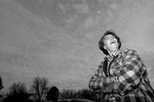 Revenge of the Birds