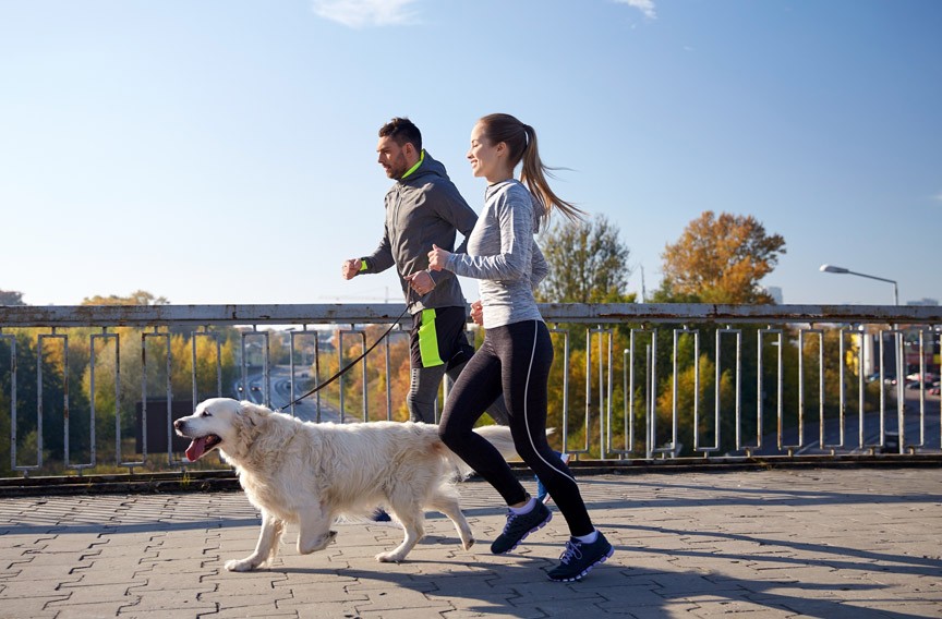 17th Annual Dog Jog and 5-k Run at Richmond SPCA