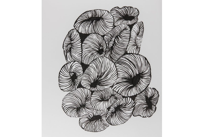 Solstice 2019 Summer Benefit Art Auction at Candela Books and Gallery