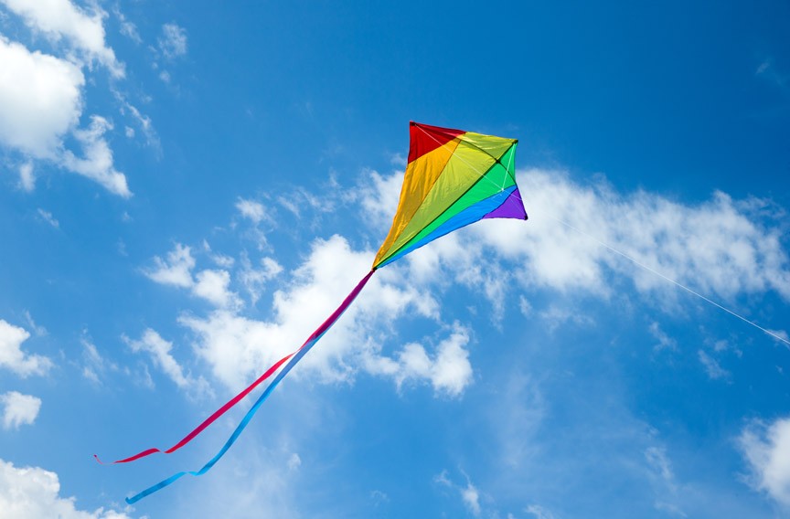 World Heritage Festival and Festival of Kites at Brown’s Island