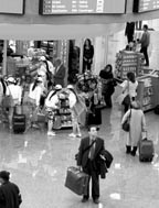 Lost in Transportation