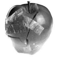 The Dark at the Bottom