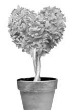 Home Life: Fresh Starts