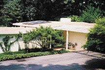 Feature Story: The Roots Above