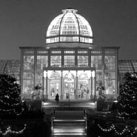 Half a Million Points of Light