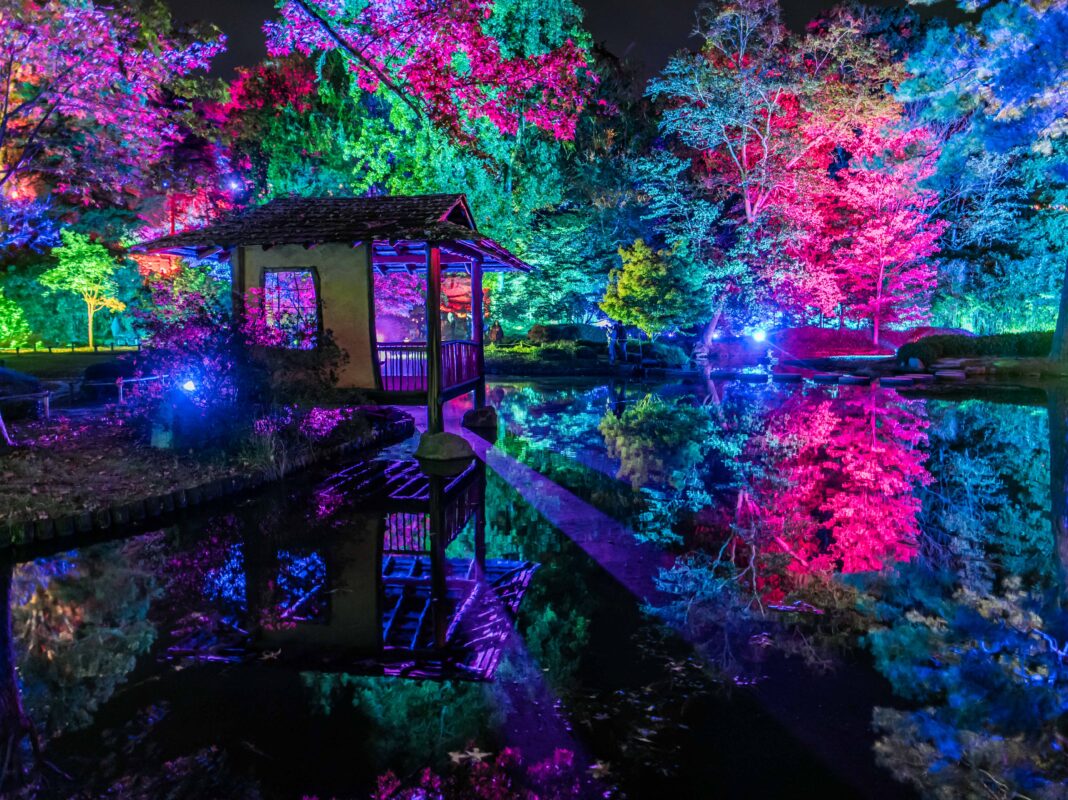 Brite-Nights, Light City